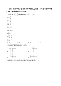 2024-2025学年广东省深圳市罗湖区五年级（下）期末数学试卷