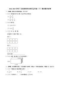 2024-2025学年广东省深圳市龙华区五年级（下）期末数学试卷