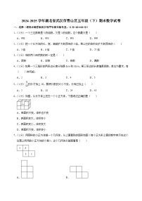 2024-2025学年湖北省武汉市青山区五年级（下）期末数学试卷