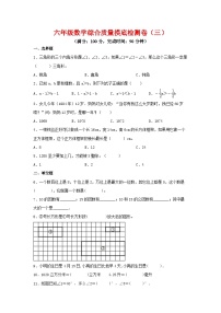 2025六年级小升初数学综合质量摸底检测卷（三）（详细解析）