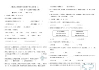 人教版三年级数学上册期中考点必刷卷（2）（含答案）