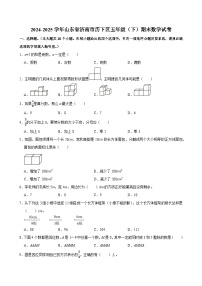 2024-2025学年山东省济南市历下区五年级（下）期末数学试卷