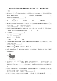 2024-2025学年山东省淄博市桓台县五年级（下）期末数学试卷