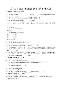 2024-2025学年陕西省宝鸡市陇县五年级（下）期末数学试卷