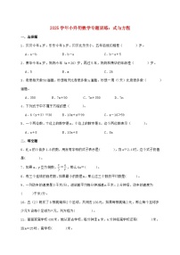 2025年（小升初）六年级下学期数学专项练习—式与方程【附答案】