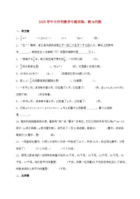 2025年（小升初）六年级下学期数学专项练习—数与代数【附答案】