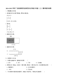 2024-2025学年广东省深圳市龙华区部分学校六年级（上）期中数学试卷