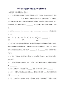 [小升初]2025年广东省潮州市潮安区六年级下册数学试题[附答案]