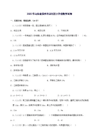 [小升初]2025年山东省滨州市沾化区六年级下册数学试题[附答案]