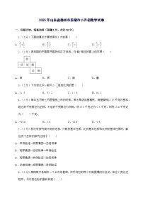 [小升初]2025年山东省德州市乐陵市六年级下册数学试题[附答案]