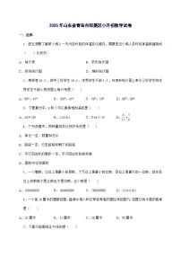 [小升初]2025年山东省青岛市即墨区六年级下册数学试题[附答案]