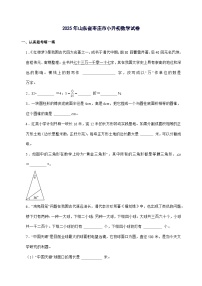 [小升初]2025年山东省枣庄市六年级下册数学试题[附答案]