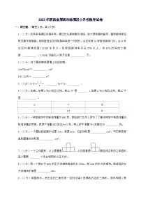 [小升初]2025年陕西省渭南市临渭区六年级下册数学试题[附答案]
