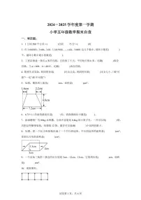 2024~2025学年广东省东莞市人教版五年级上学期期末数学检测试题（附答案）