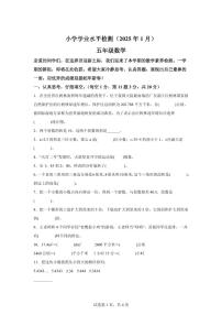 2024~2025学年山东省青岛市青岛版五年级上学期期末数学检测试题（附答案）