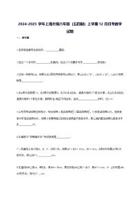 2024—2025学年度上海市预六年级[五四制]上册12月月考数学 [参考答案]