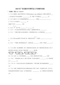 【小升初】2025年广东省惠州市博罗县六年级下册期末数学试题【附答案】