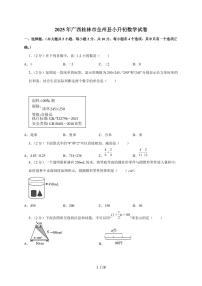 【小升初】2025年广西桂林市全州县六年级下册期末数学试题【附答案】
