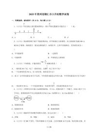 【小升初】2025年贵州省铜仁市六年级下册期末数学试题【附答案】