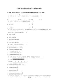 【小升初】2025年山东省滨州市六年级下册期末数学试题【附答案】