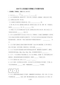 【小升初】2025年山东省临沂市聊城六年级下册期末数学试题【附答案】