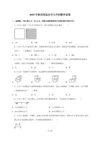 【小升初】2025年陕西省延安市六年级下册期末数学试题【附答案】
