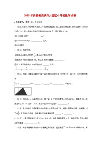 （小升初）2025年安徽省安庆市大观区初一新生入学分班考试数学检测试卷（含解析）
