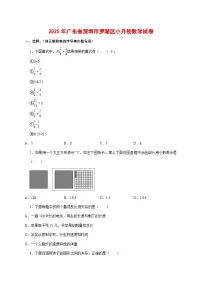 （小升初）2025年广东省深圳市罗湖区初一新生入学分班考试数学检测试卷（含解析）