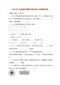 （小升初）2025年广东省湛江市雷州市部分校初一新生入学分班考试数学检测试卷（含解析）