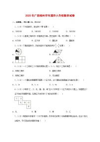 （小升初）2025年广西梧州市岑溪市初一新生入学分班考试数学检测试卷（含解析）
