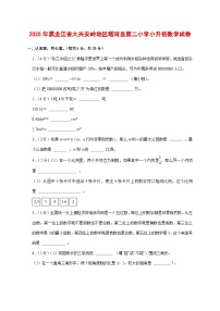 （小升初）2025年黑龙江省大兴安岭地区塔河县第二小学初一新生入学分班考试数学检测试卷（含解析）