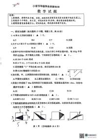 江苏省连云港市东海县2024-2025学年五年级上学期期末数学试题