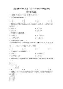 山东省泰安市东平县2024-2025学年六年级上学期期中数学试卷（学生版）