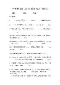 北师大版六年级上册数学期末综合练习（无答案）