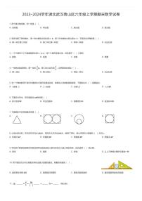 2023~2024学年湖北武汉青山区六年级上学期期末数学试卷（有答案解析）