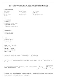 2024~2025学年湖北武汉洪山区五年级上学期期末数学试卷（有答案解析）