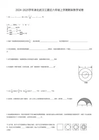 2024~2025学年湖北武汉江夏区六年级上学期期末数学试卷(有答案解析)