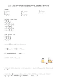 2024~2025学年湖北武汉东西湖区六年级上学期期末数学试卷（有答案解析）