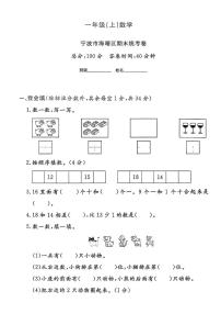 浙江省宁波市海曙区2024-2025学年一年级上学期期末数学试题及答案