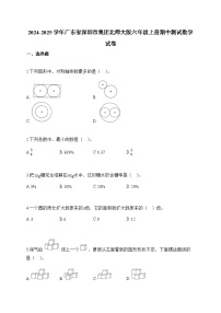 2024-2025学年广东省深圳市集团北师大版六年级上册期中测试数学试卷