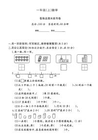 浙江省温州市苍南县2024-2025学年一年级上学期期末数学试题