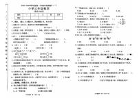 广东省东莞市莞城街道2025-2026学年三年级上学期学情调研（一）数学试题（月考）