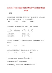 2025~2026学年山东省德州市乐陵市青岛版六年级上学期期中数学试题【附解析】