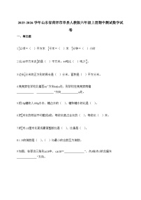 2025-2026学年山东省菏泽市单县人教版六年级上学期期中数学检测试题【附解析】