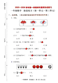 广东省深圳市龙岗区2025-2026学年一年级上数学期中练习卷