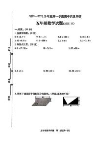 江苏省徐州市沛县2025-2026学年六年级上学期期中数学试题