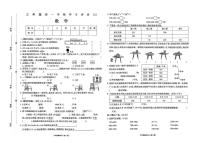 河南省驻马店市遂平县阳丰镇2025-2026学年三年级上学期期中数学试卷