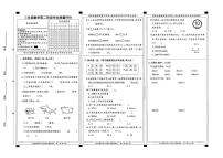 河北省邢台市宁晋县校联考2025-2026学年三年级上学期11月阶段性数学试题（月考）