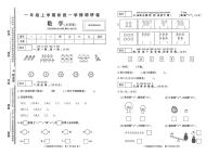 河南省驻马店市遂平县2024-2025学年一年级上学期第一次学情调研数学试题（月考）