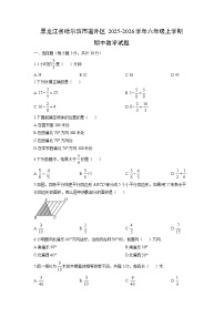 2025-2026学年黑龙江省哈尔滨市道外区六年级上学期期中数学试题（学生版）